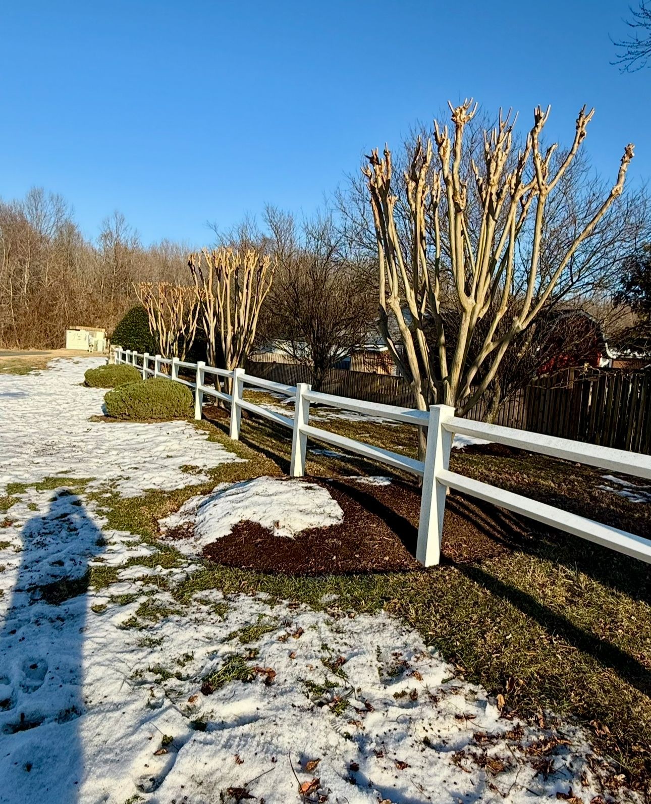 Tree Pruning