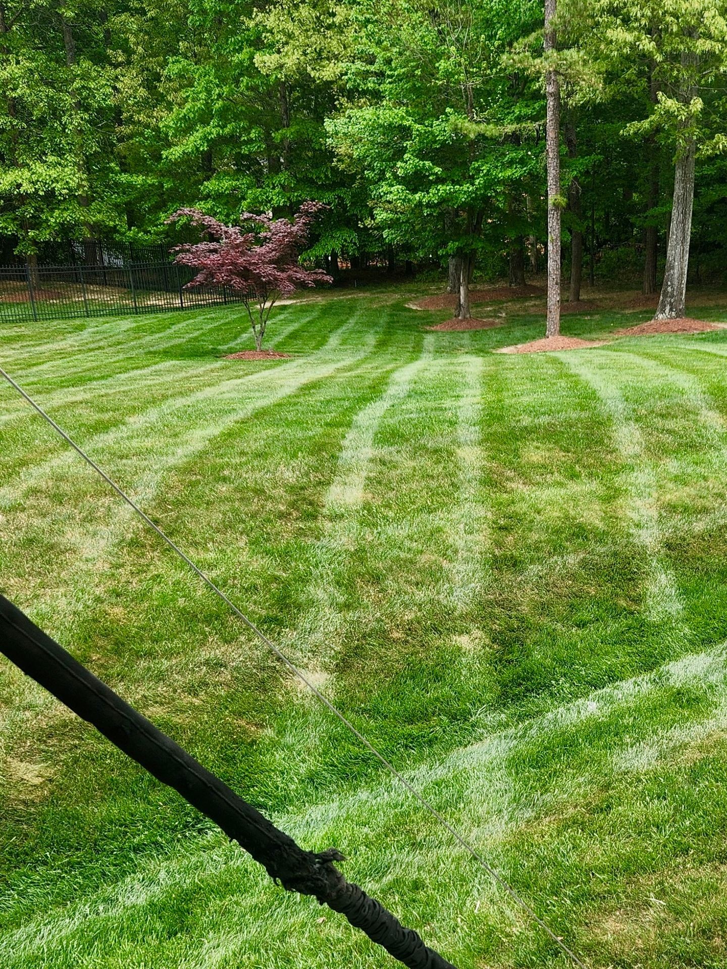 Lawn Maintenance